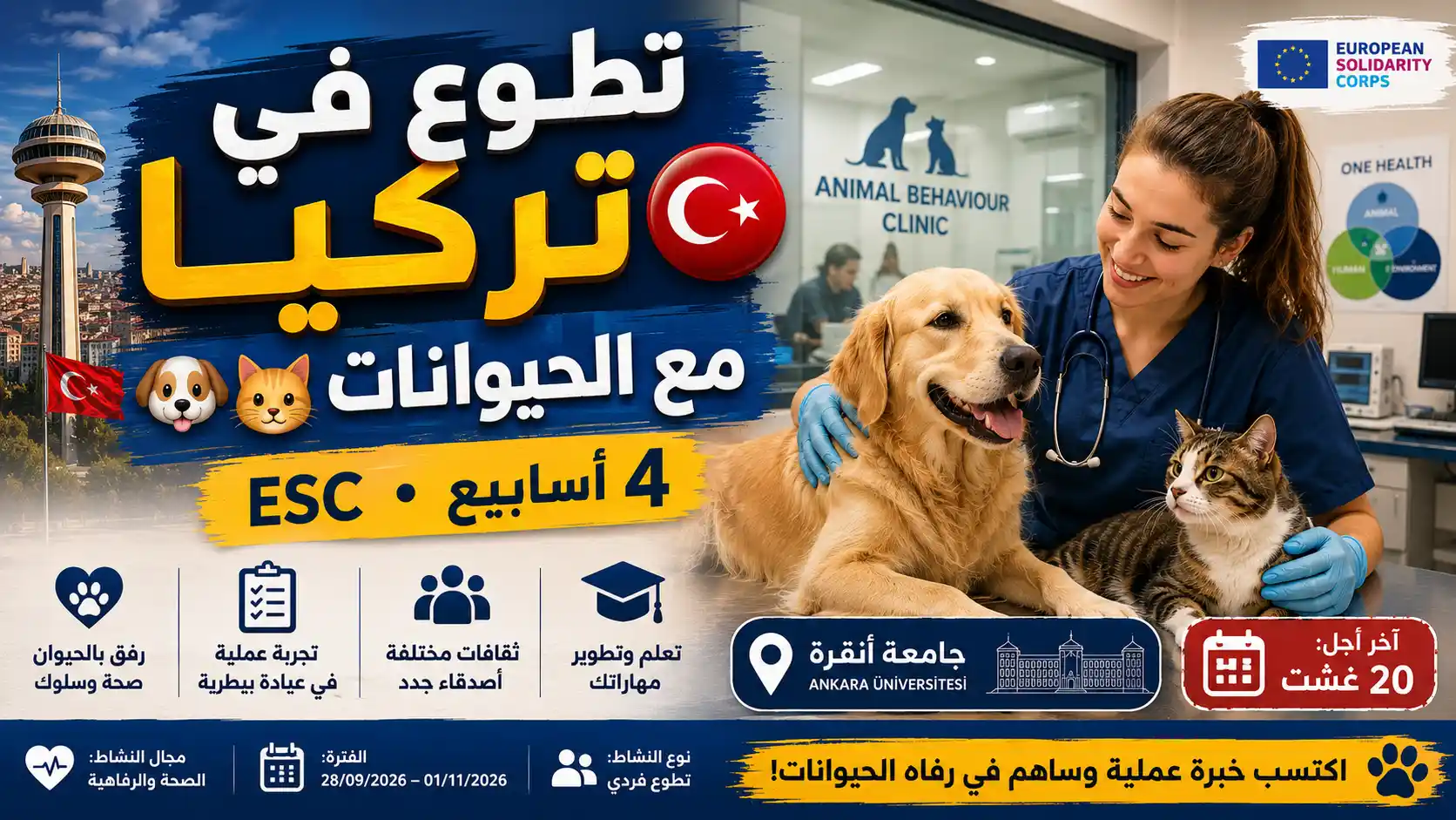 فرصة تطوع قصيرة المدى في تركيا: رعاية وسلوك الحيوانات الأليفة (ESC 2026)